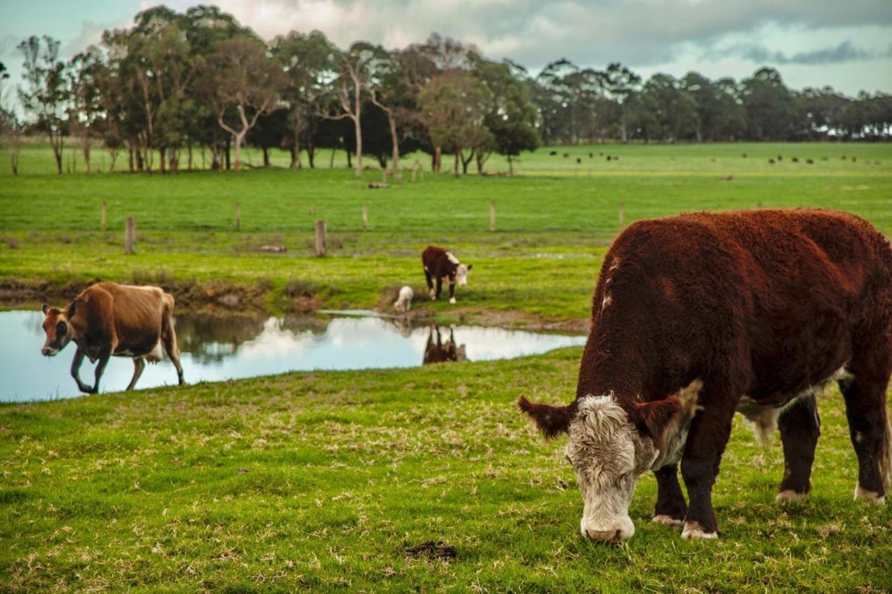 Discovery Parks Margaret River Cowaramup Dış mekan fotoğraf